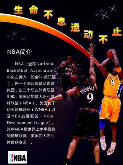 的比分结